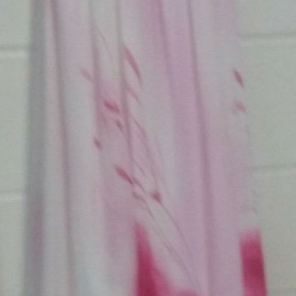 Dresses - Picture 3 of 4